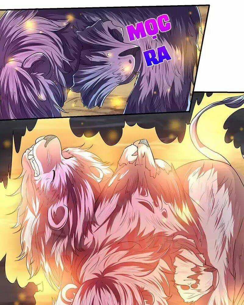 Tối Cường Thăng Cấp Chapter 5 trang 22