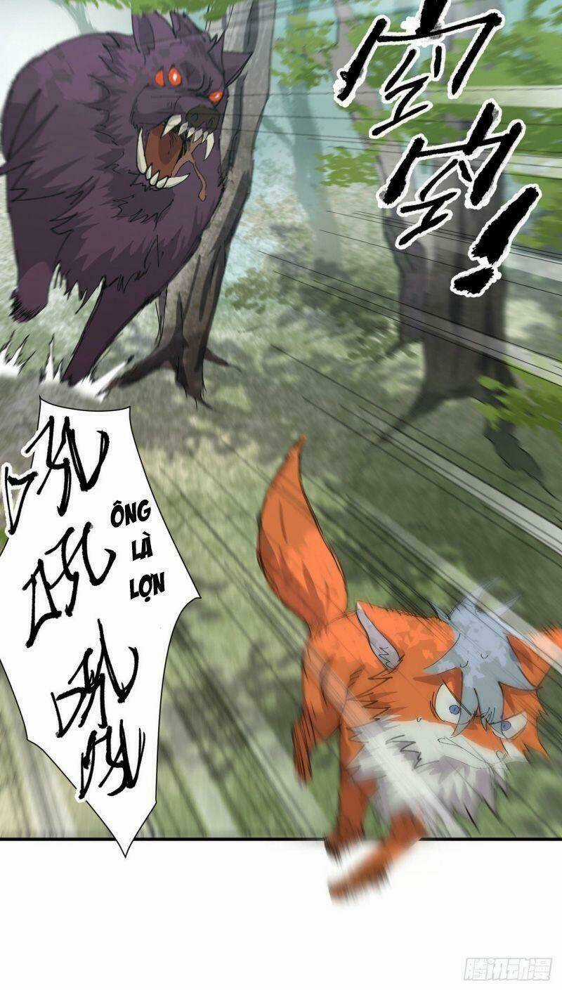 Tối Cường Võ Hồn Hệ Thống Chapter 47 trang 14