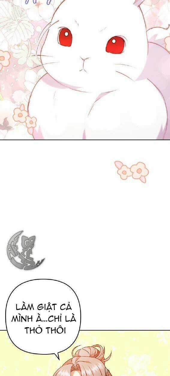 Tôi Đã Bị Quyến Rũ Bởi Nam Chính Ốm Yếu Chapter 17 trang 23