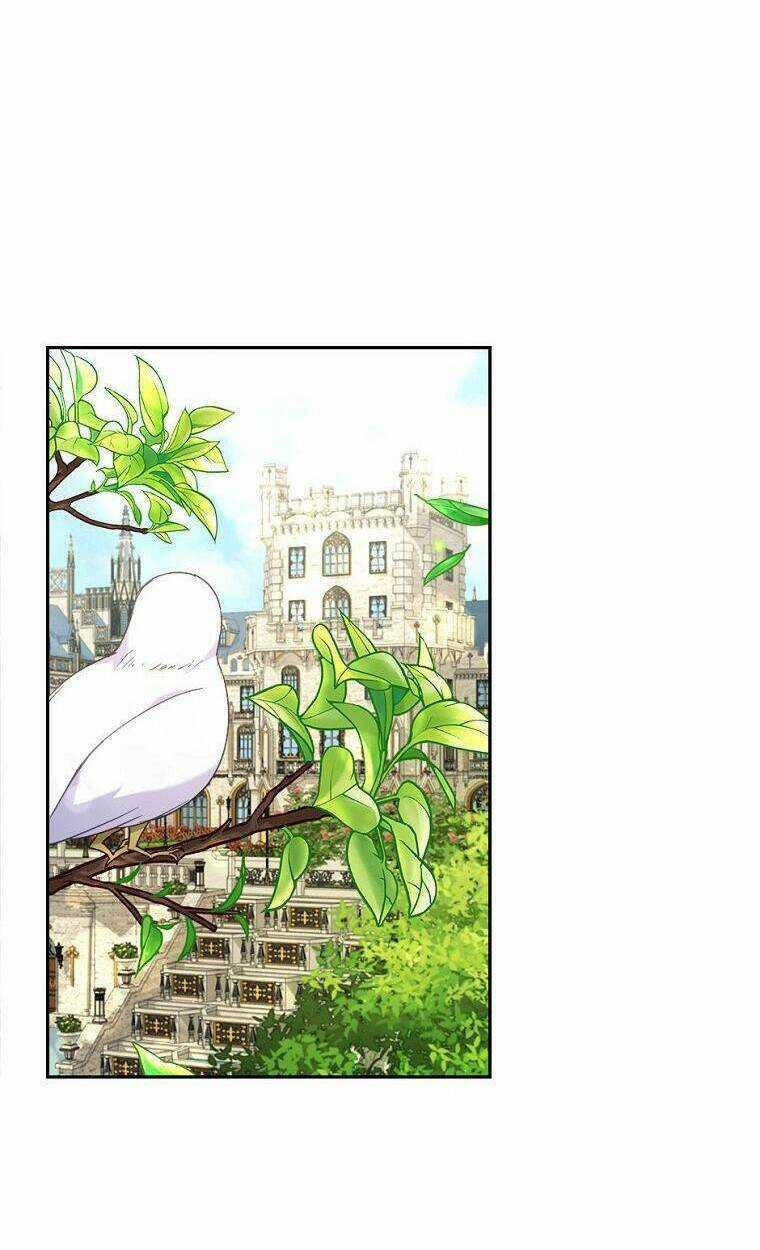 Tôi Đã Bị Quyến Rũ Bởi Nam Chính Ốm Yếu Chapter 21 trang 2