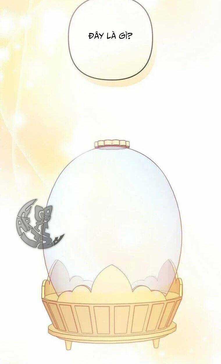 Tôi Đã Bị Quyến Rũ Bởi Nam Chính Ốm Yếu Chapter 23 trang 11