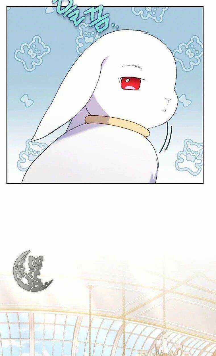 Tôi Đã Bị Quyến Rũ Bởi Nam Chính Ốm Yếu Chapter 23 trang 74