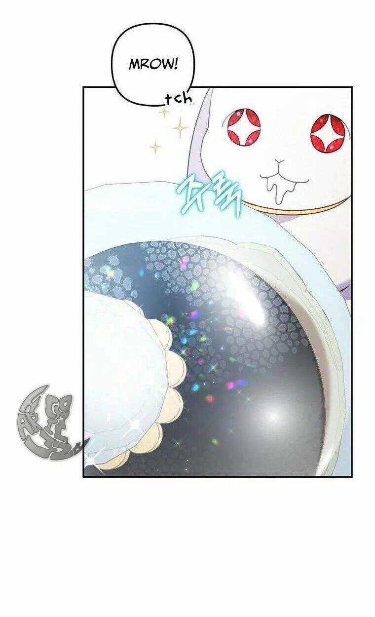 Tôi Đã Bị Quyến Rũ Bởi Nam Chính Ốm Yếu Chapter 23 trang 76