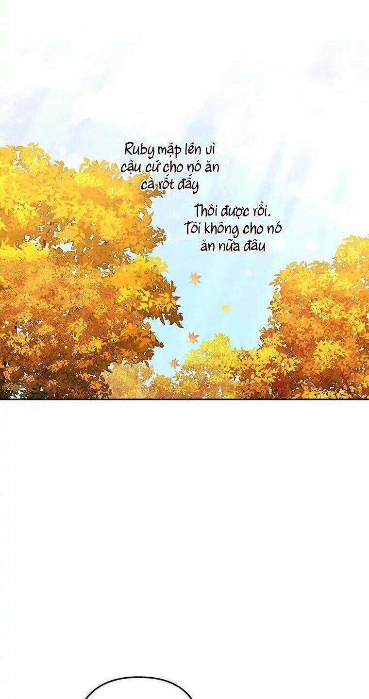 Tôi Đã Bị Quyến Rũ Bởi Nam Chính Ốm Yếu Chapter 31 trang 47