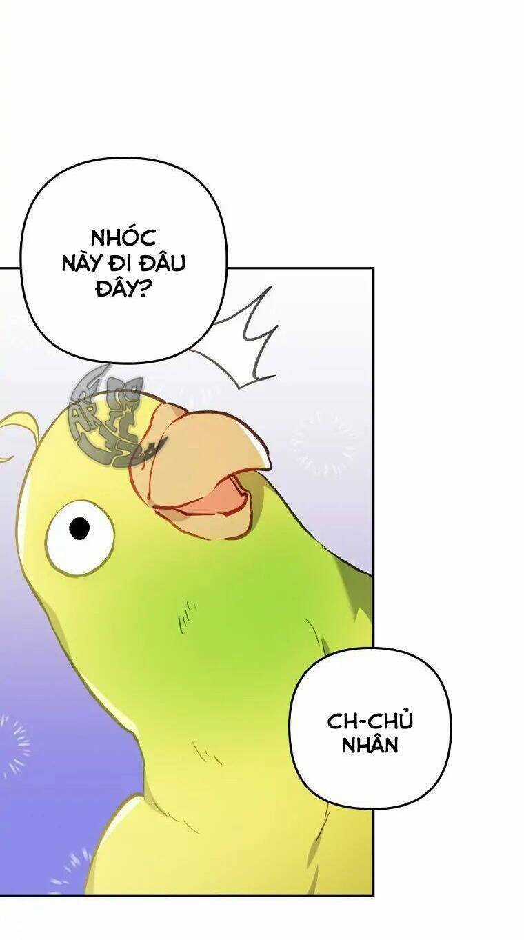 Tôi Đã Bị Quyến Rũ Bởi Nam Chính Ốm Yếu Chapter 31 trang 81