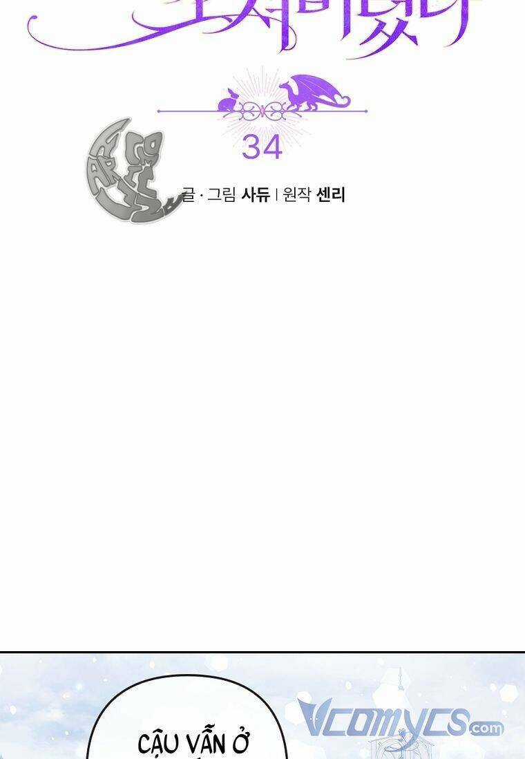 Tôi Đã Bị Quyến Rũ Bởi Nam Chính Ốm Yếu Chapter 34 trang 7