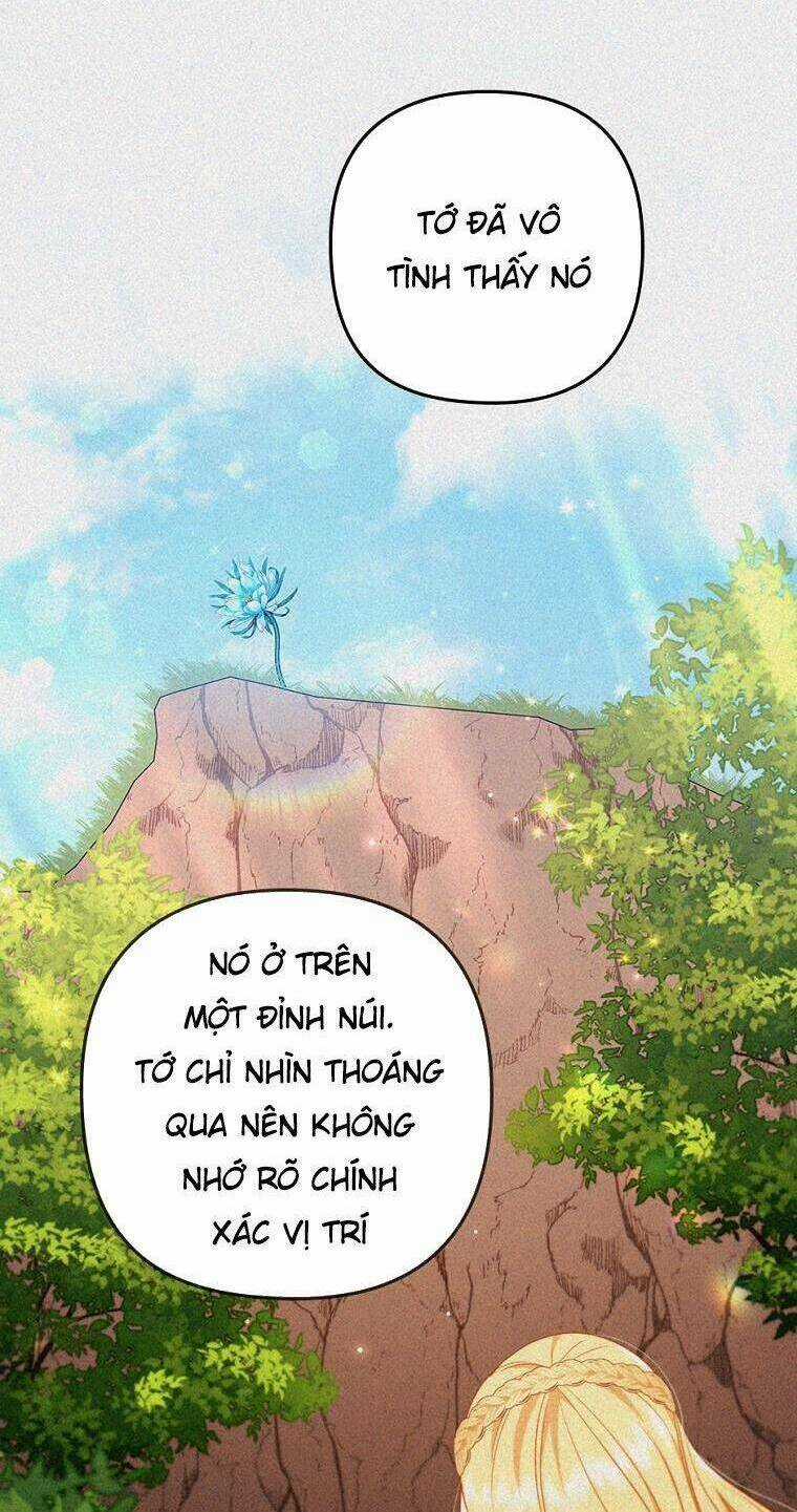 Tôi Đã Bị Quyến Rũ Bởi Nam Chính Ốm Yếu Chapter 39 trang 20