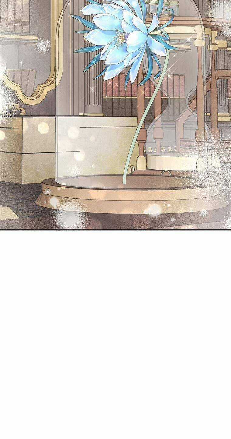 Tôi Đã Bị Quyến Rũ Bởi Nam Chính Ốm Yếu Chapter 39 trang 4