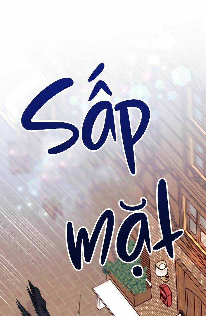 Tôi Đã Có Chồng Sau Khi Nhặt Được Nam Chính Chapter 13 trang 16