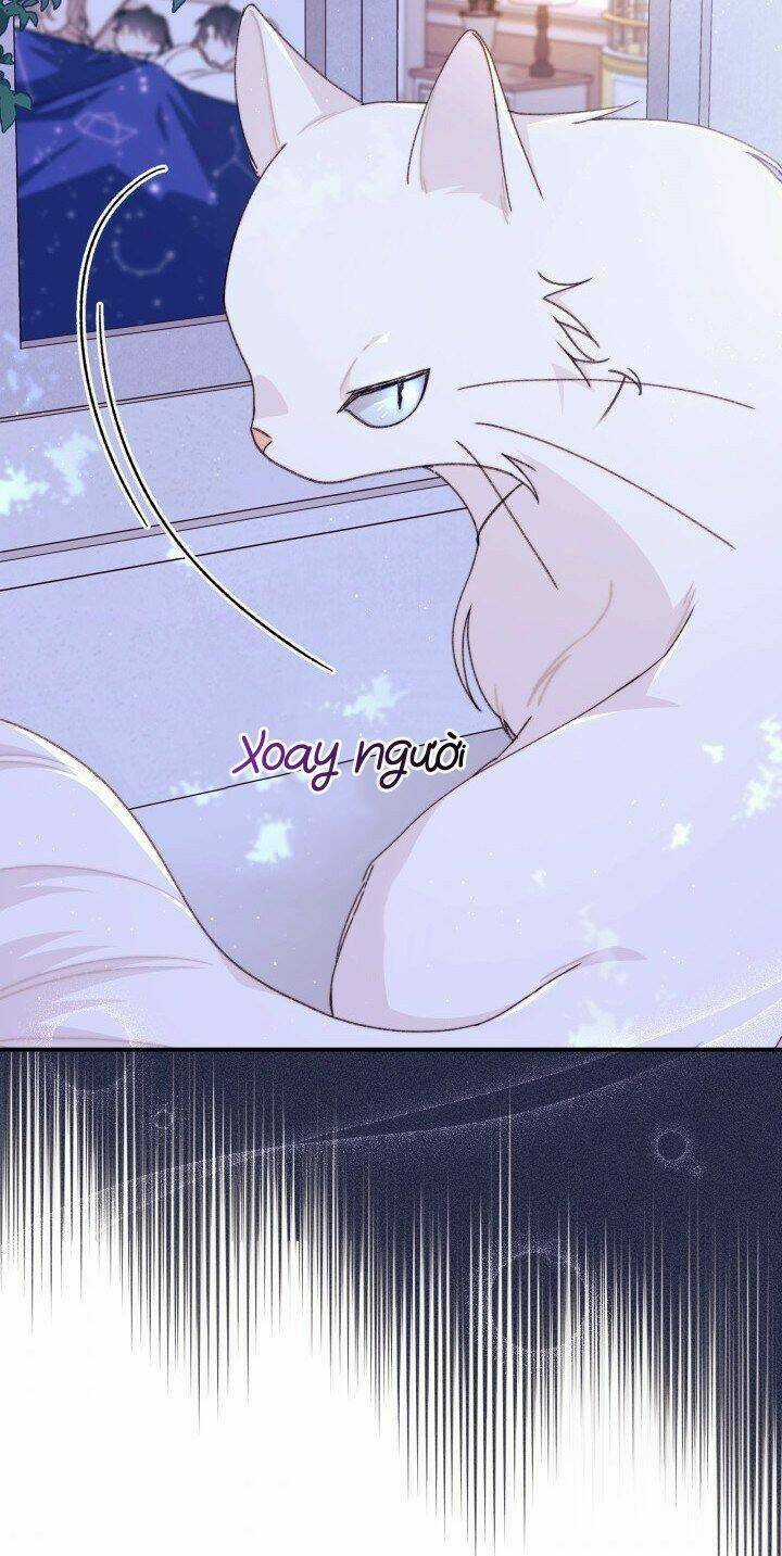 Tôi Đã Có Chồng Sau Khi Nhặt Được Nam Chính Chapter 34 trang 51