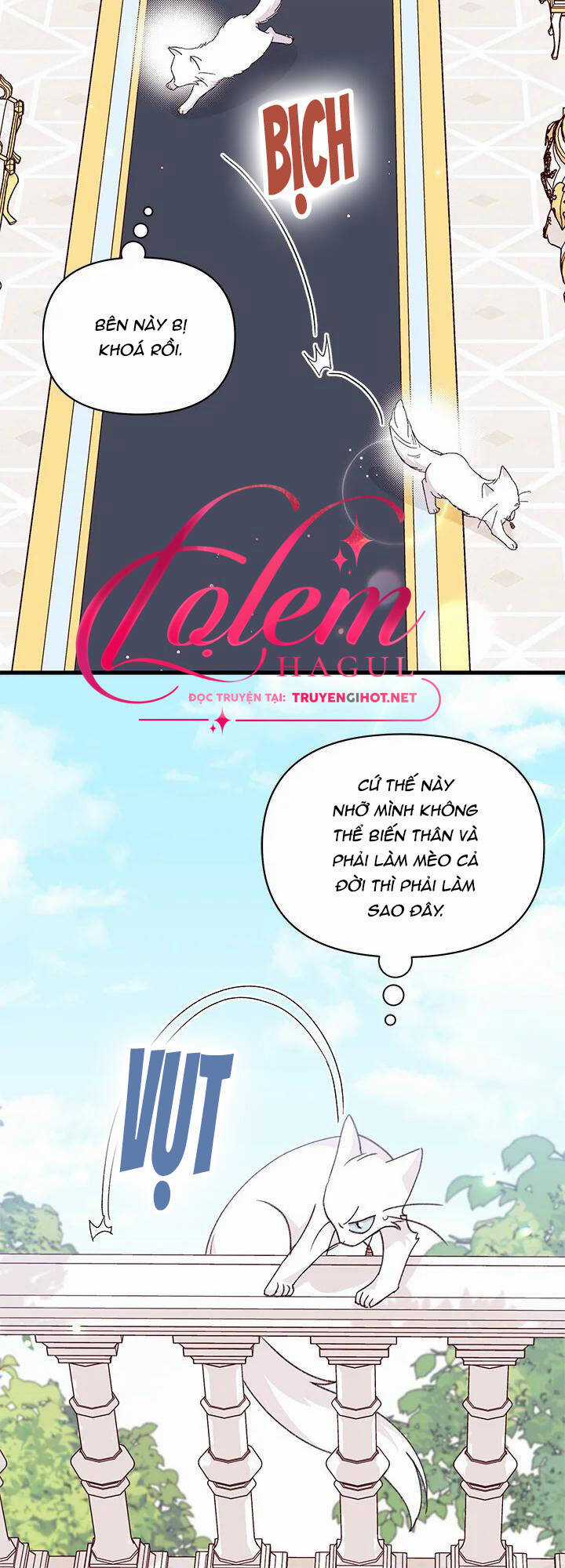 Tôi Đã Có Chồng Sau Khi Nhặt Được Nam Chính Chapter 47.1 trang 5