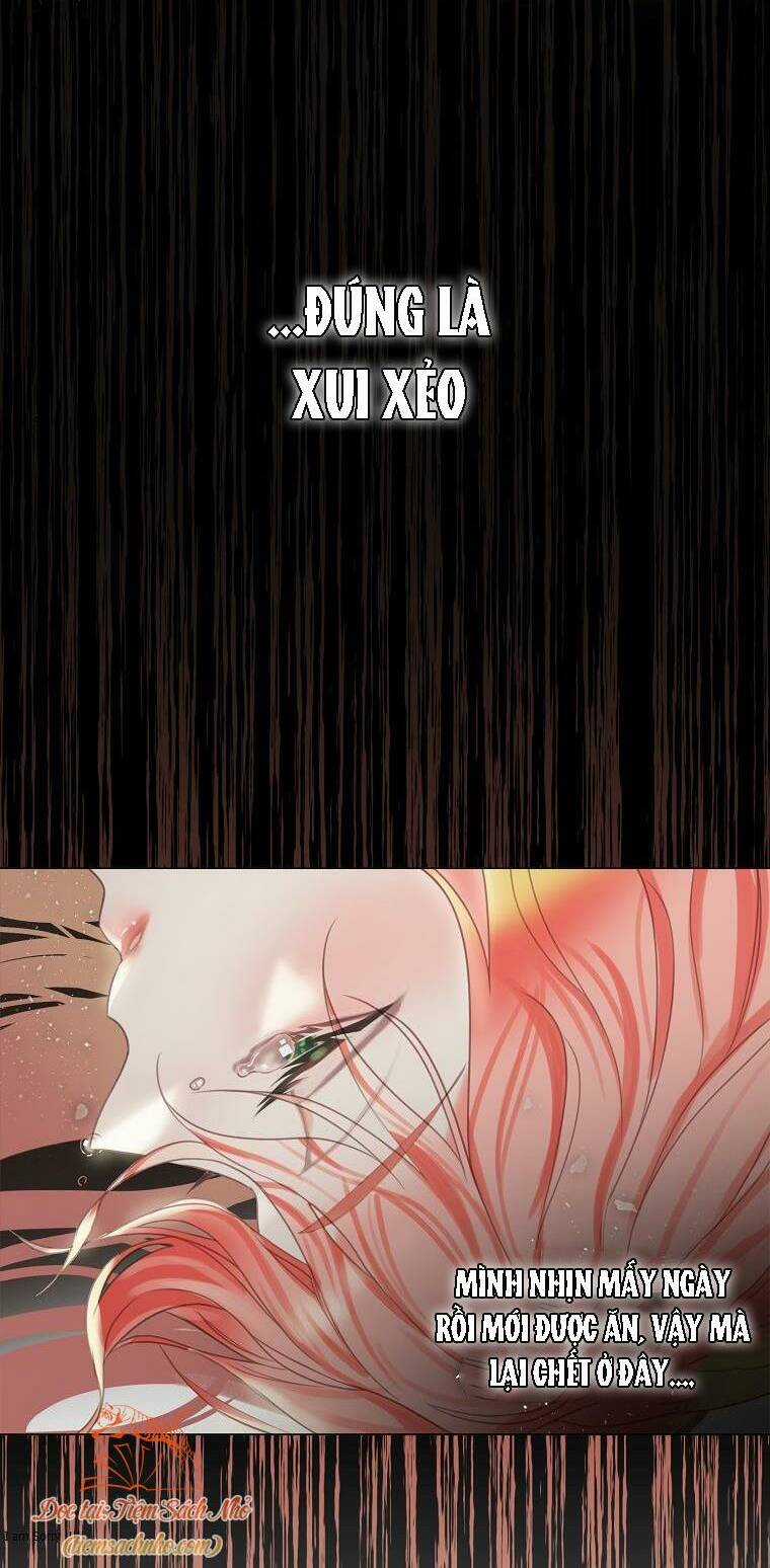 Tôi Đã Cố Gắng Chạy Sau Khi Ăn Kẹo Chapter 1 trang 31