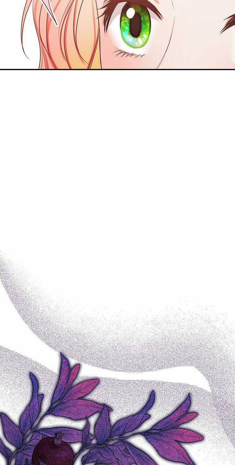 Tôi Đã Cố Gắng Chạy Sau Khi Ăn Kẹo Chapter 16 trang 16