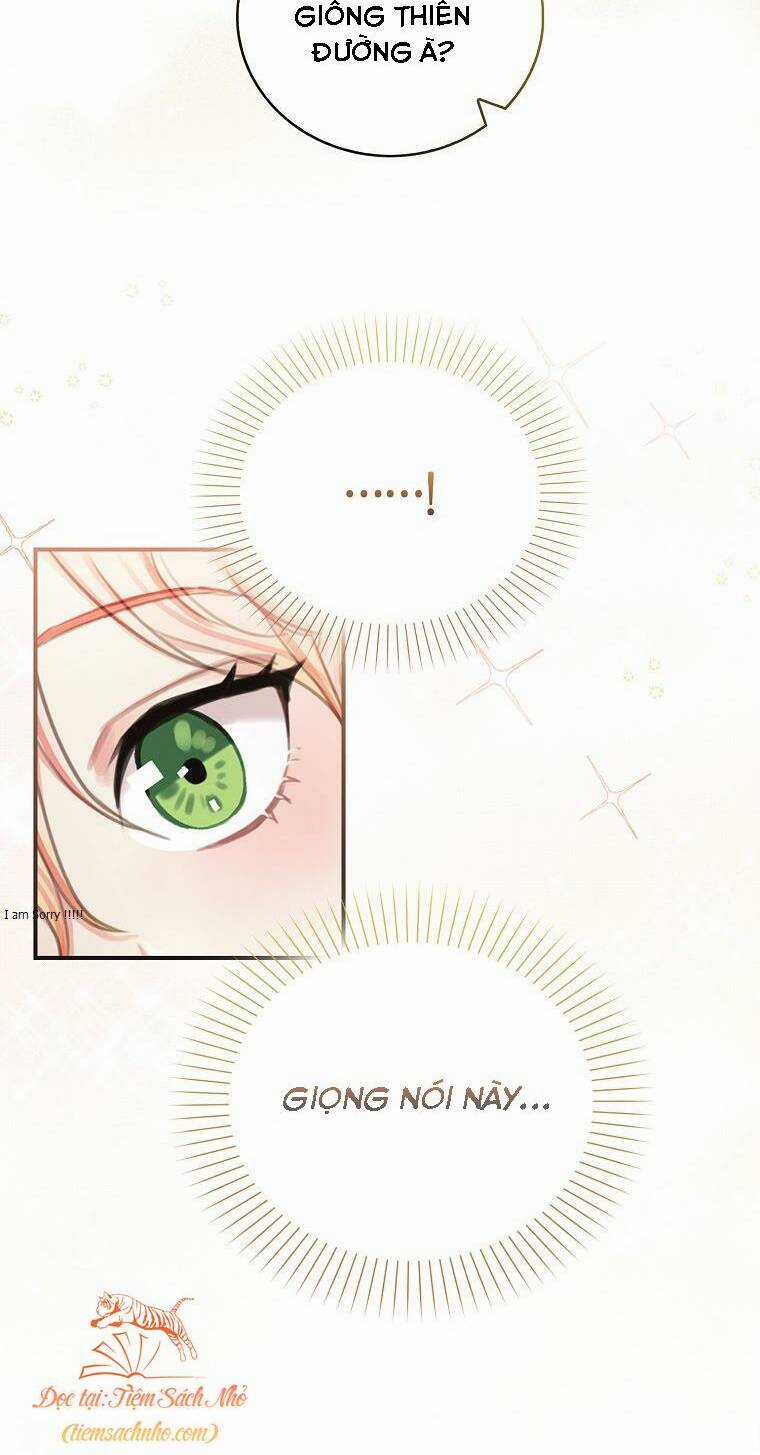 Tôi Đã Cố Gắng Chạy Sau Khi Ăn Kẹo Chapter 2 trang 2