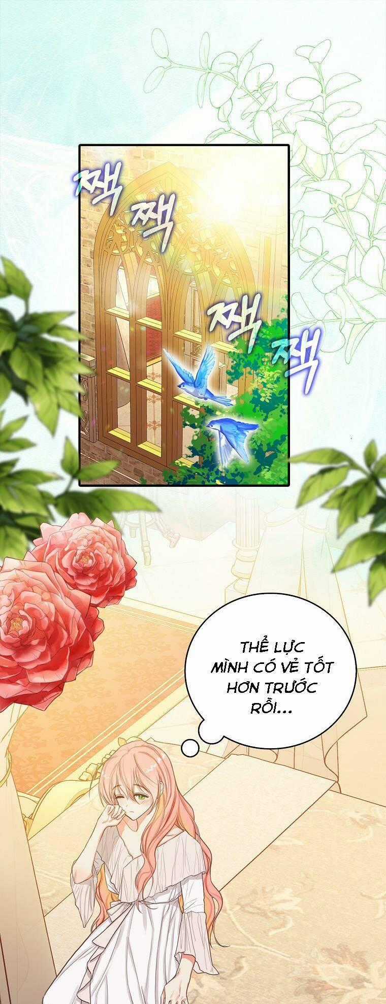 Tôi Đã Cố Gắng Chạy Sau Khi Ăn Kẹo Chapter 6 trang 0