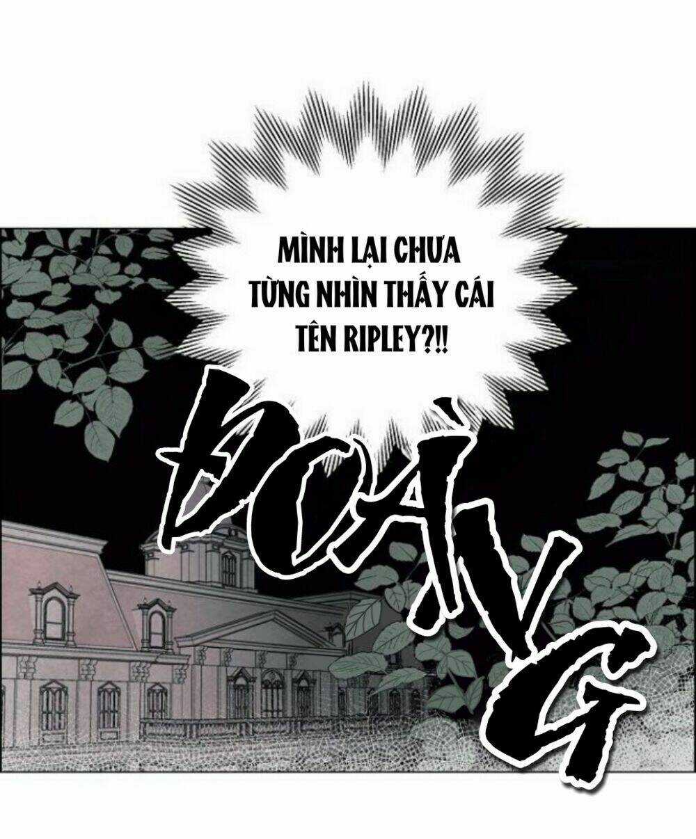 Tôi Đã Cướp Mất Đêm Đầu Tiên Của Nam Chính Chapter 1 trang 27