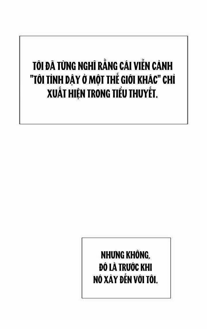 Tôi Đã Cướp Mất Đêm Đầu Tiên Của Nam Chính Chapter 1 trang 4