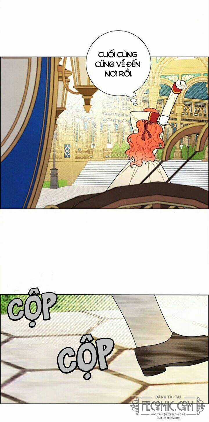 Tôi Đã Cướp Mất Đêm Đầu Tiên Của Nam Chính Chapter 100 trang 49