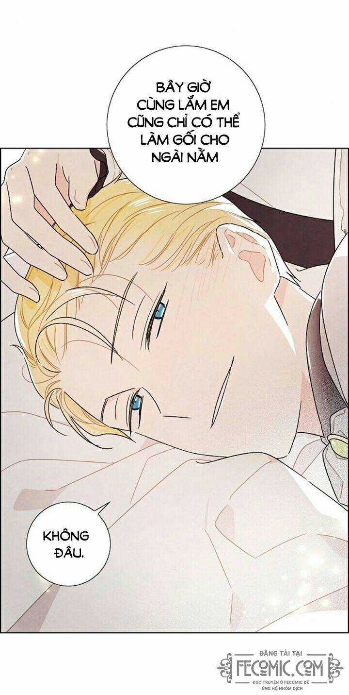 Tôi Đã Cướp Mất Đêm Đầu Tiên Của Nam Chính Chapter 102 trang 41