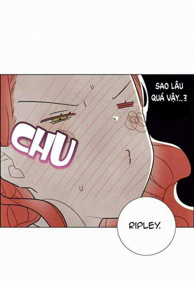 Tôi Đã Cướp Mất Đêm Đầu Tiên Của Nam Chính Chapter 13 trang 41