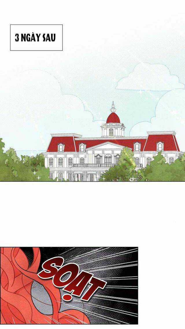 Tôi Đã Cướp Mất Đêm Đầu Tiên Của Nam Chính Chapter 14 trang 10