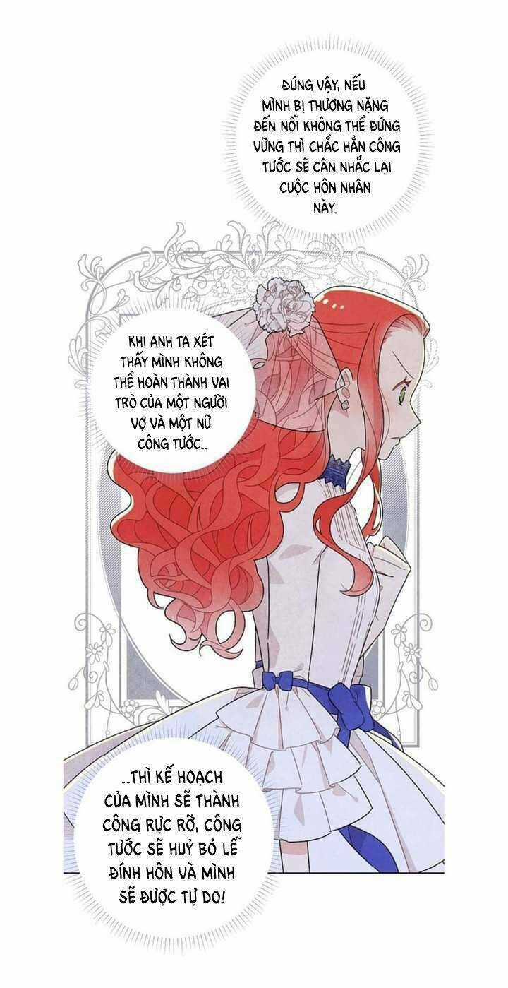 Tôi Đã Cướp Mất Đêm Đầu Tiên Của Nam Chính Chapter 15 trang 13