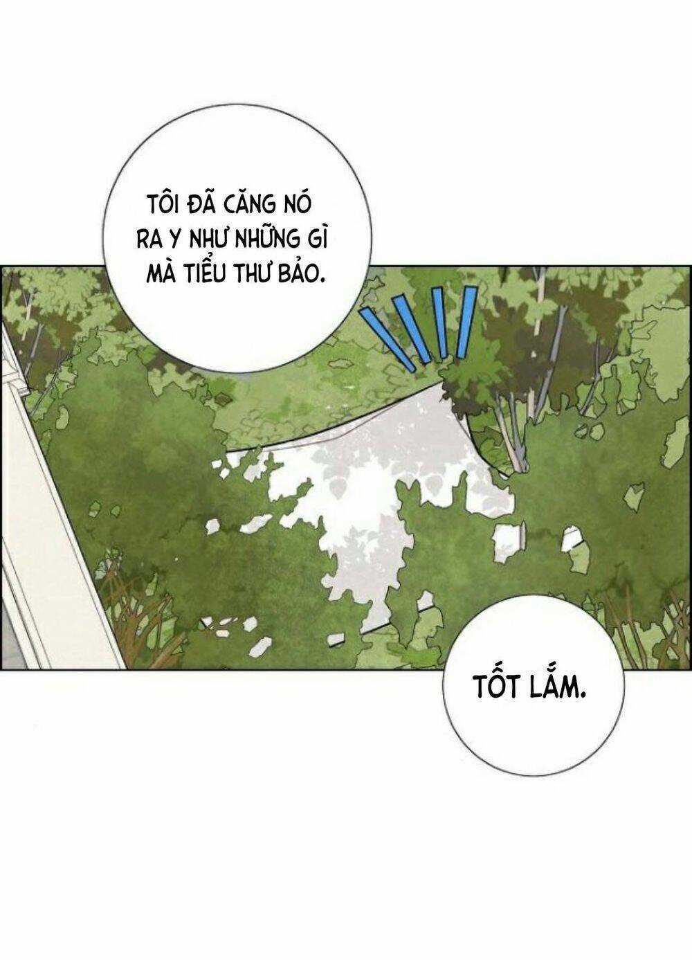 Tôi Đã Cướp Mất Đêm Đầu Tiên Của Nam Chính Chapter 15 trang 16