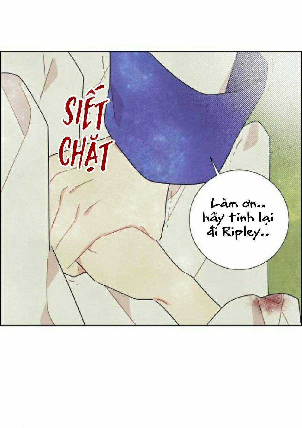 Tôi Đã Cướp Mất Đêm Đầu Tiên Của Nam Chính Chapter 15 trang 53