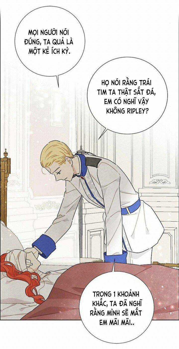 Tôi Đã Cướp Mất Đêm Đầu Tiên Của Nam Chính Chapter 16 trang 20