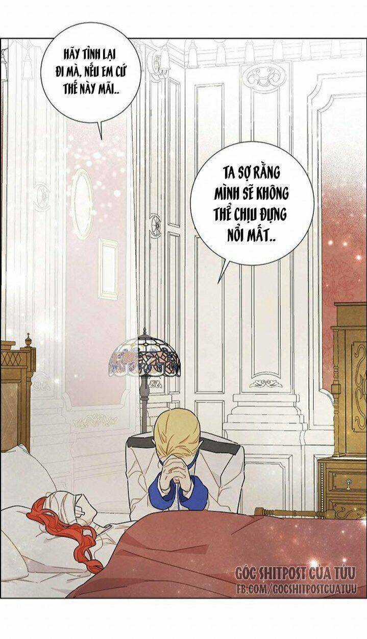 Tôi Đã Cướp Mất Đêm Đầu Tiên Của Nam Chính Chapter 16 trang 22