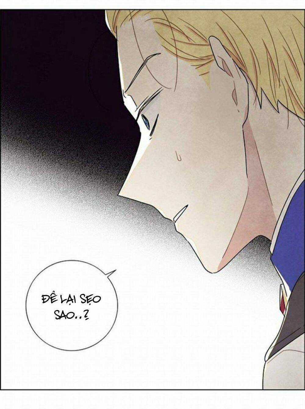 Tôi Đã Cướp Mất Đêm Đầu Tiên Của Nam Chính Chapter 16 trang 5