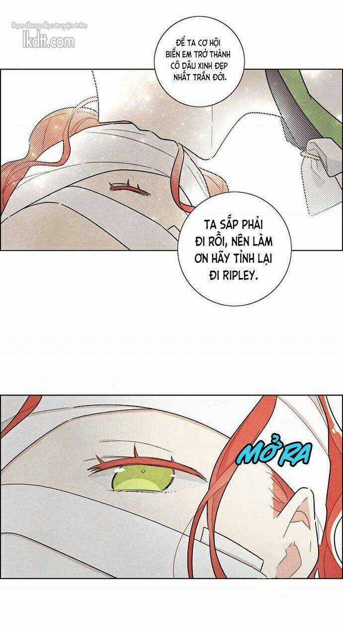 Tôi Đã Cướp Mất Đêm Đầu Tiên Của Nam Chính Chapter 17 trang 64