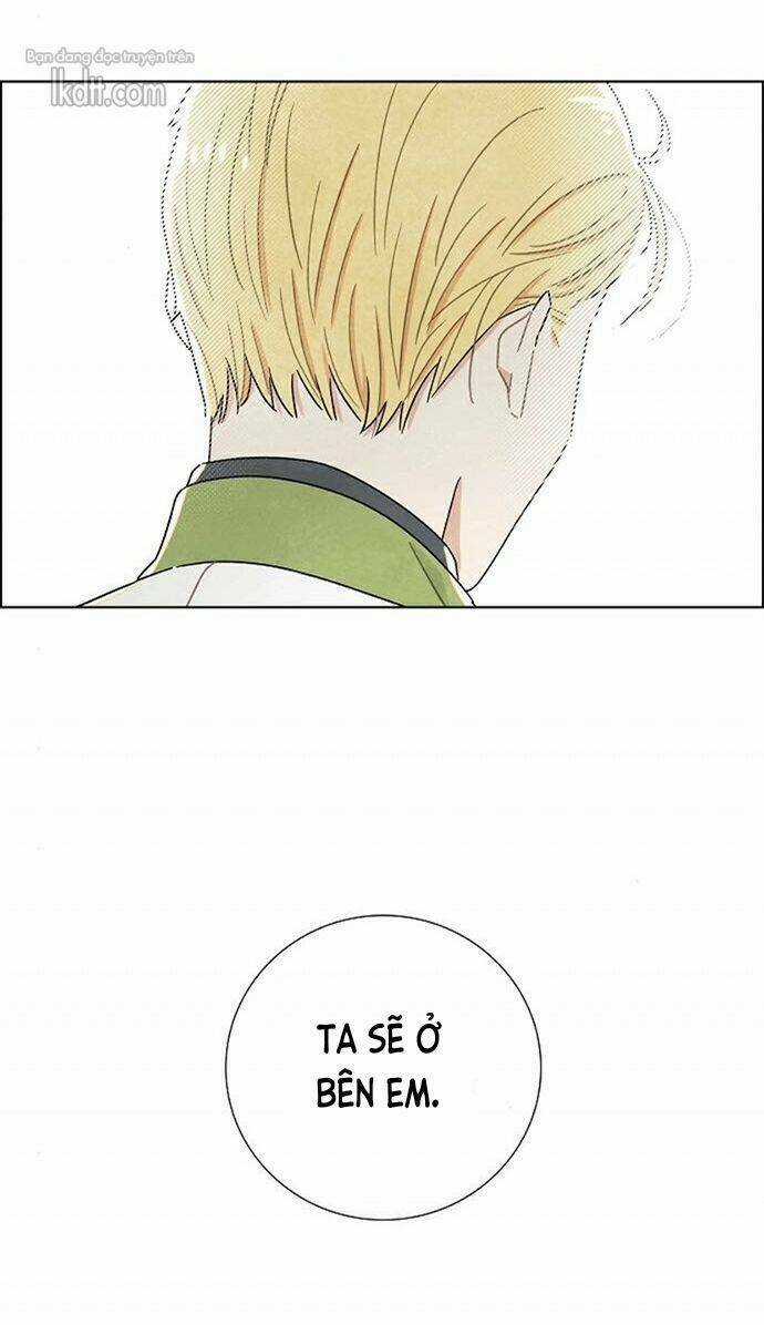 Tôi Đã Cướp Mất Đêm Đầu Tiên Của Nam Chính Chapter 18 trang 14