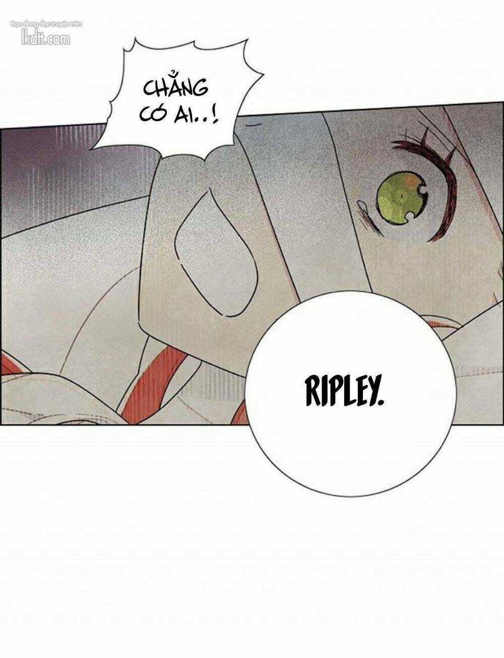 Tôi Đã Cướp Mất Đêm Đầu Tiên Của Nam Chính Chapter 18 trang 19