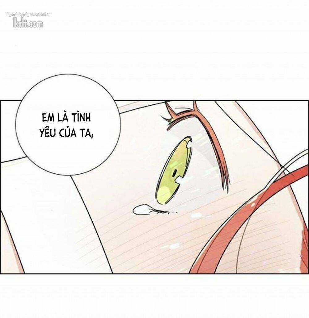 Tôi Đã Cướp Mất Đêm Đầu Tiên Của Nam Chính Chapter 18 trang 21