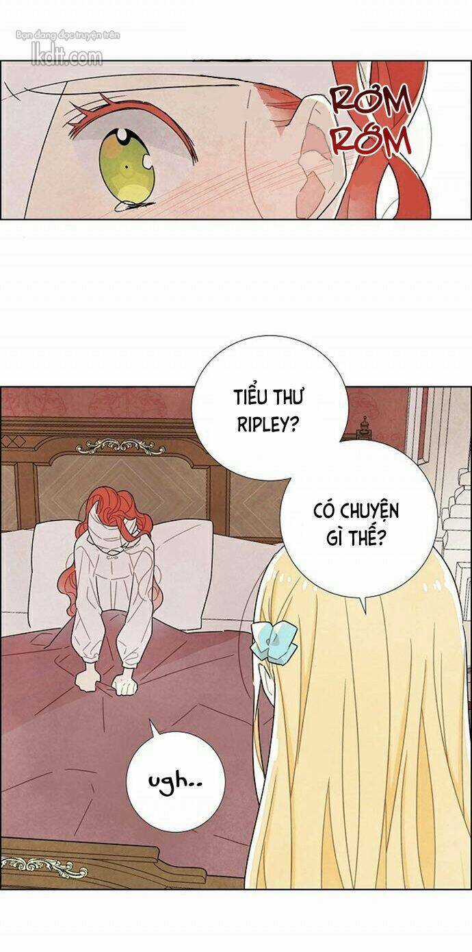 Tôi Đã Cướp Mất Đêm Đầu Tiên Của Nam Chính Chapter 18 trang 45