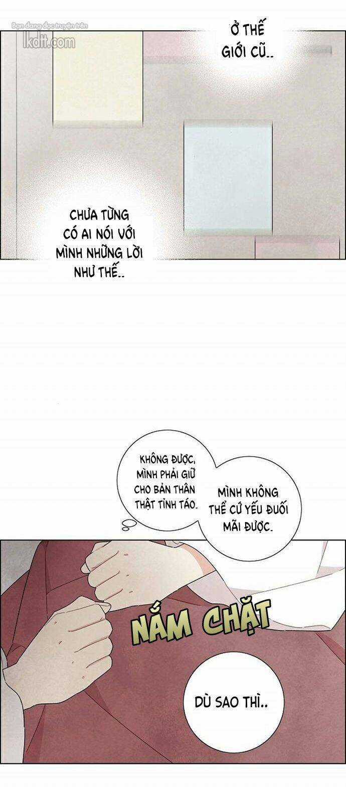 Tôi Đã Cướp Mất Đêm Đầu Tiên Của Nam Chính Chapter 18 trang 6