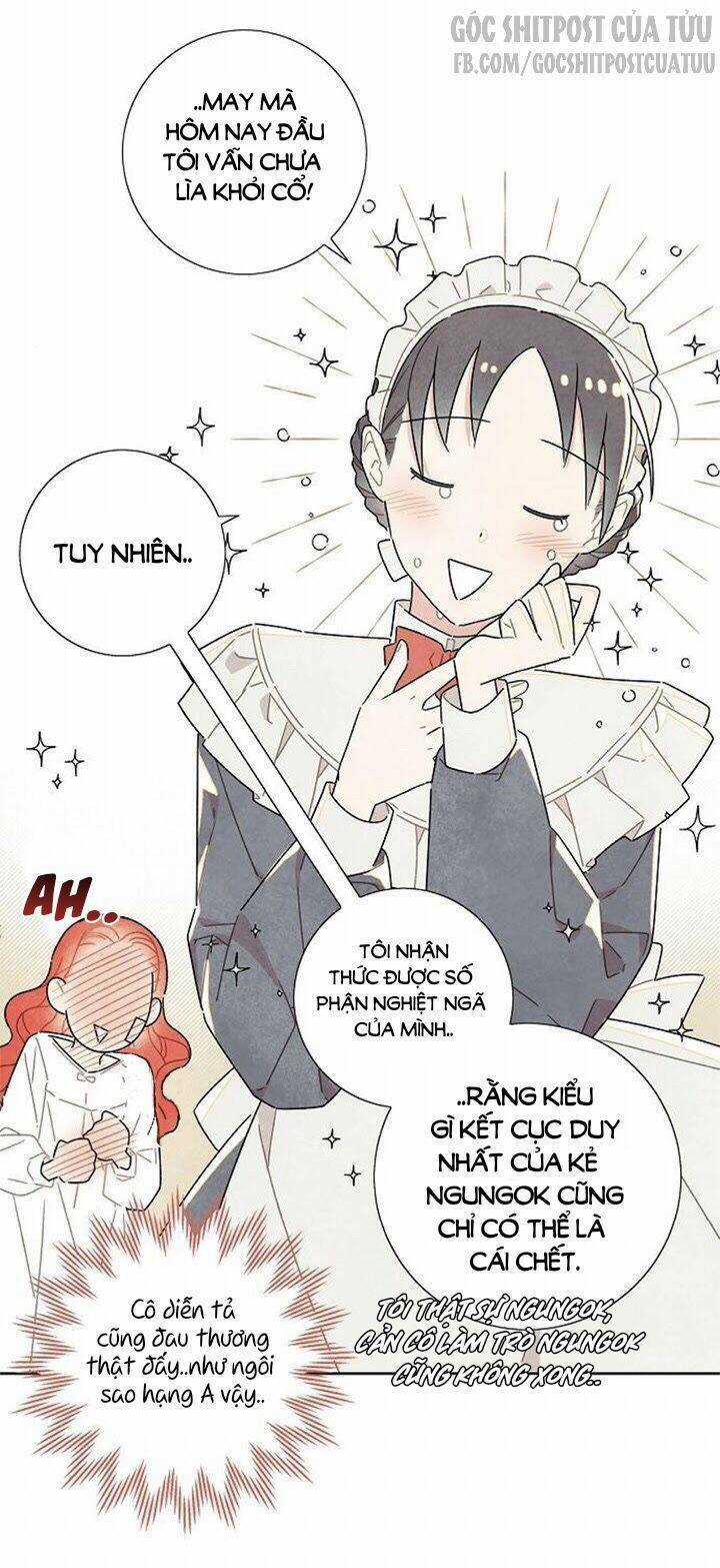 Tôi Đã Cướp Mất Đêm Đầu Tiên Của Nam Chính Chapter 19 trang 14