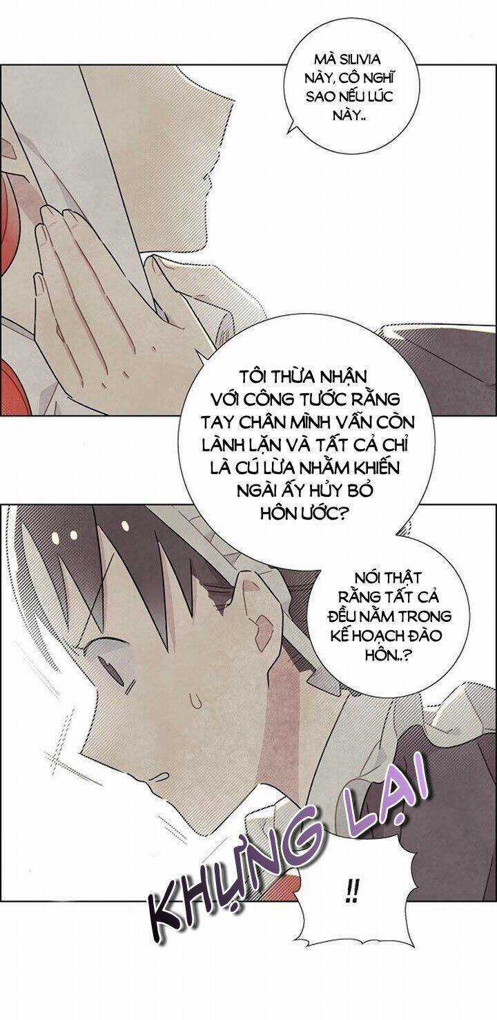 Tôi Đã Cướp Mất Đêm Đầu Tiên Của Nam Chính Chapter 19 trang 16