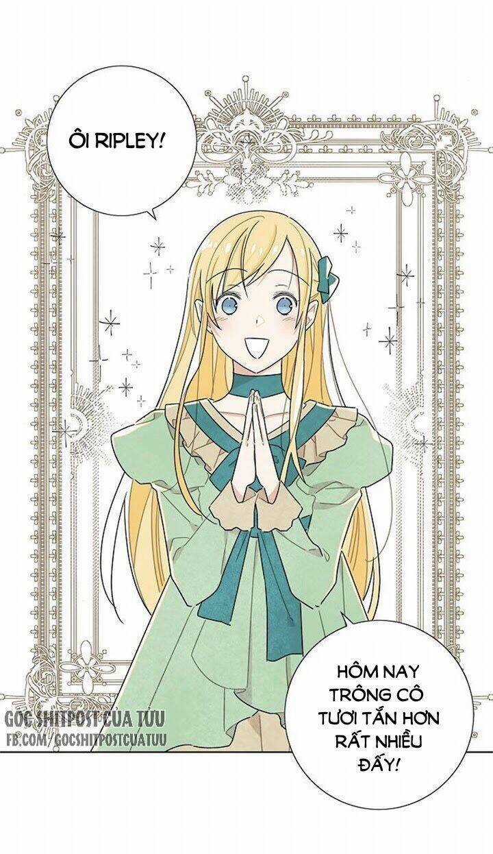 Tôi Đã Cướp Mất Đêm Đầu Tiên Của Nam Chính Chapter 19 trang 23