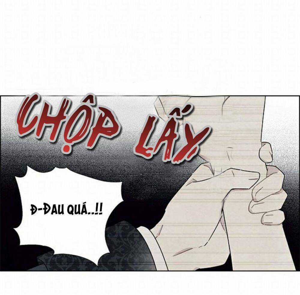 Tôi Đã Cướp Mất Đêm Đầu Tiên Của Nam Chính Chapter 21 trang 11