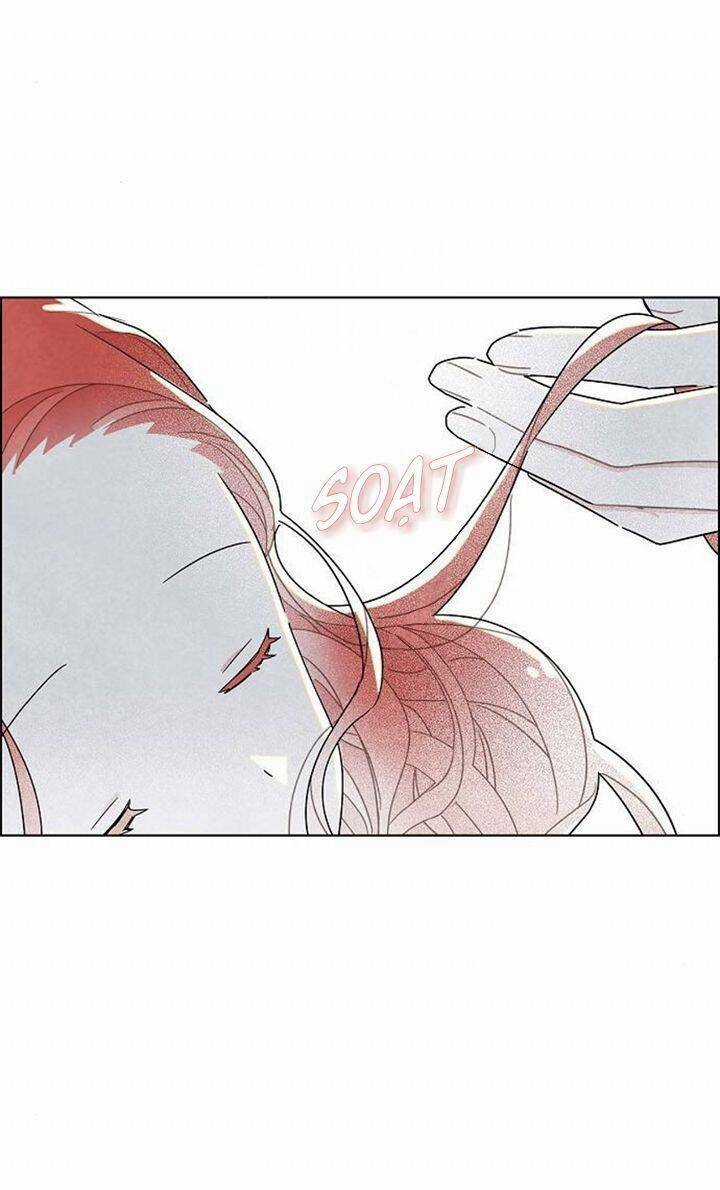 Tôi Đã Cướp Mất Đêm Đầu Tiên Của Nam Chính Chapter 22 trang 33