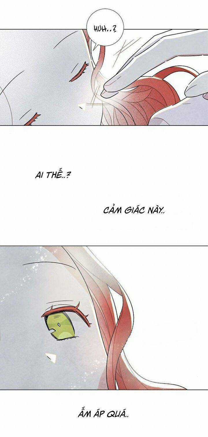 Tôi Đã Cướp Mất Đêm Đầu Tiên Của Nam Chính Chapter 22 trang 35