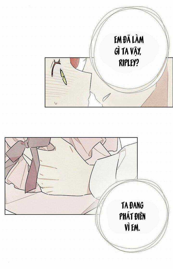 Tôi Đã Cướp Mất Đêm Đầu Tiên Của Nam Chính Chapter 23 trang 36