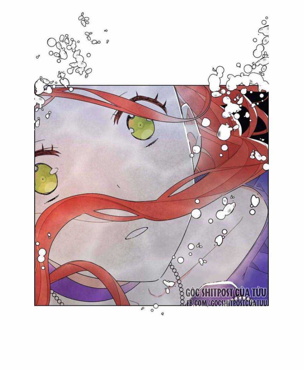 Tôi Đã Cướp Mất Đêm Đầu Tiên Của Nam Chính Chapter 25 trang 14