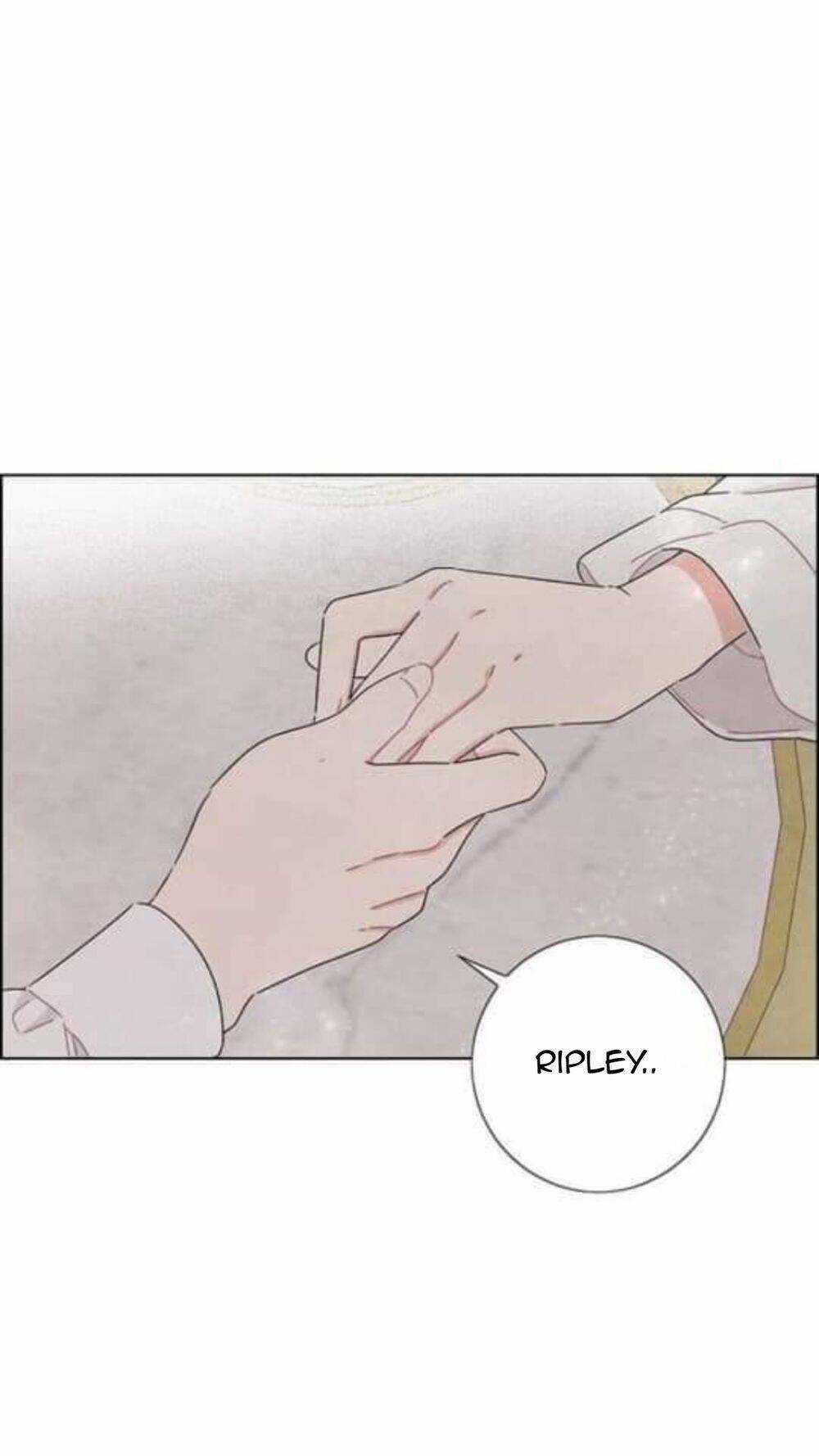 Tôi Đã Cướp Mất Đêm Đầu Tiên Của Nam Chính Chapter 26 trang 8