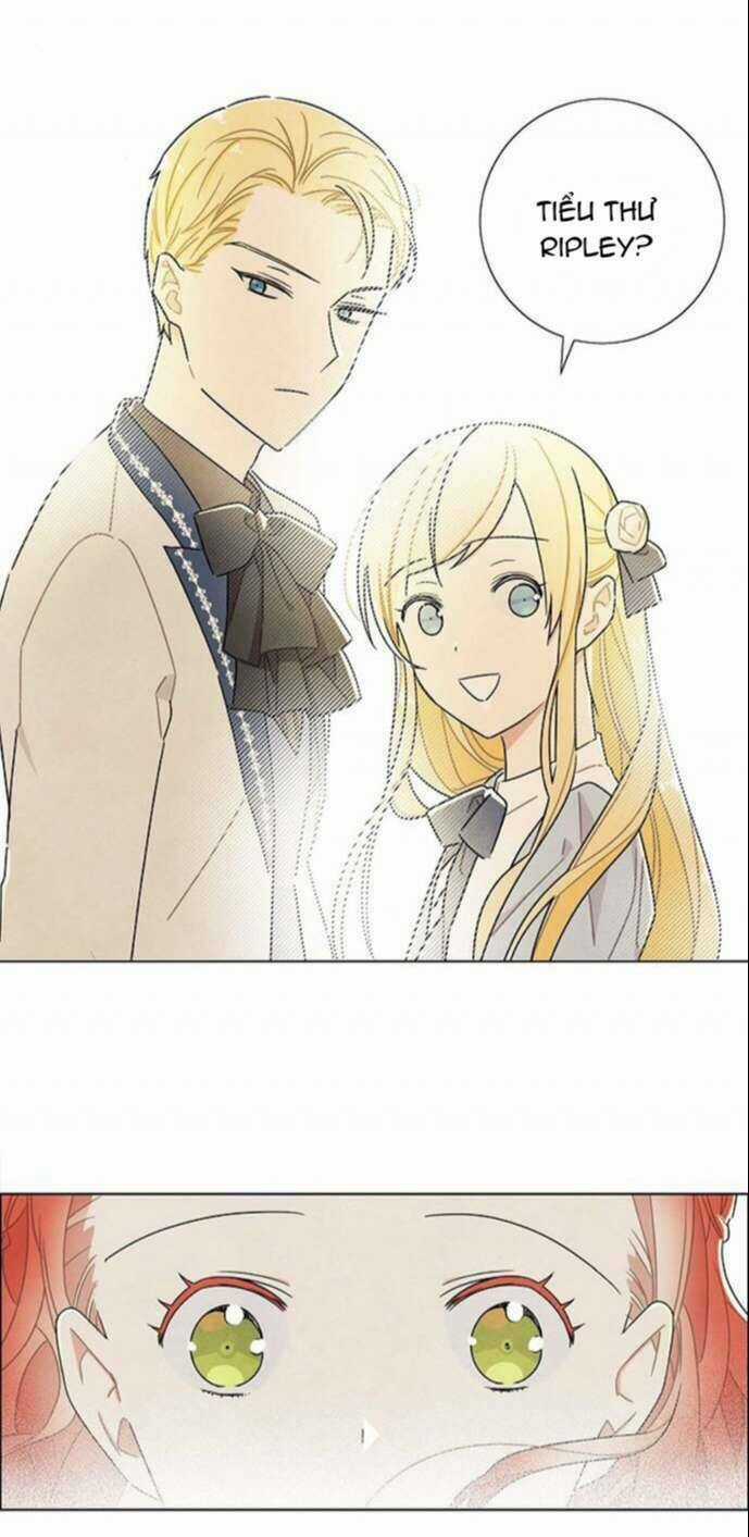 Tôi Đã Cướp Mất Đêm Đầu Tiên Của Nam Chính Chapter 28 trang 33