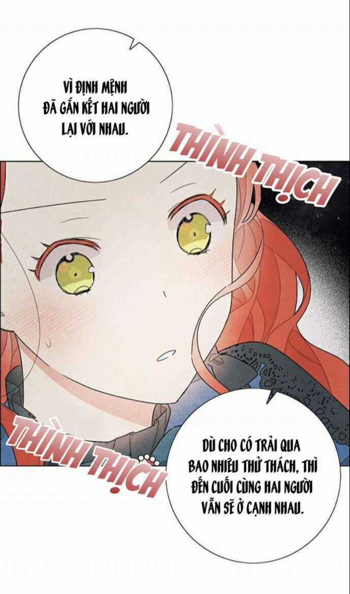 Tôi Đã Cướp Mất Đêm Đầu Tiên Của Nam Chính Chapter 29 trang 18