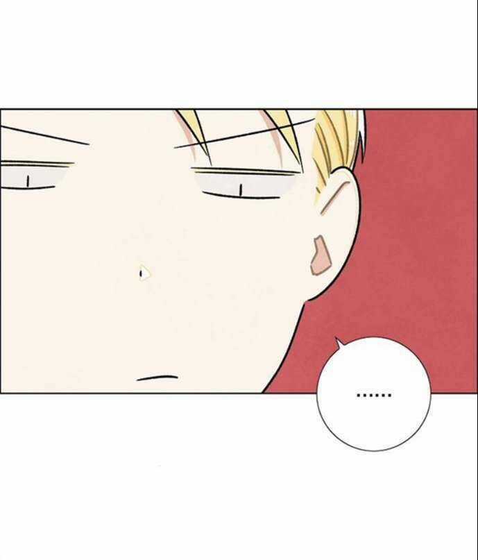 Tôi Đã Cướp Mất Đêm Đầu Tiên Của Nam Chính Chapter 29 trang 32