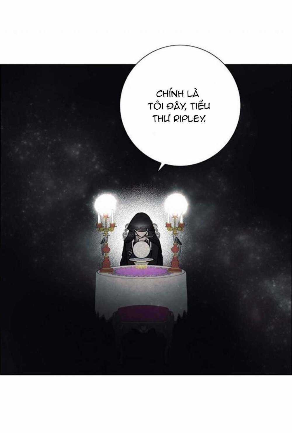 Tôi Đã Cướp Mất Đêm Đầu Tiên Của Nam Chính Chapter 29 trang 4